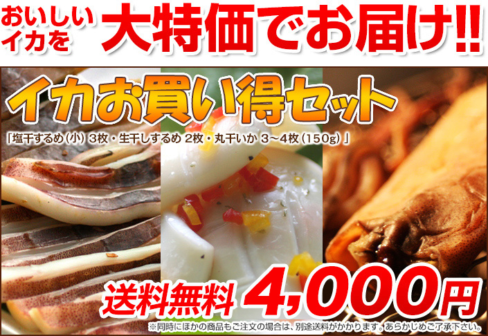 おいしいイカを大特価でお届け!! イカお買い得セット 「塩干するめ(中) 3枚・生干しするめ 2枚・丸干いか 5〜6枚(150g)」 送料無料4,000円 ※同時にほかの商品もご注文の場合は、別途送料がかかります。あらかじめご了承下さい。